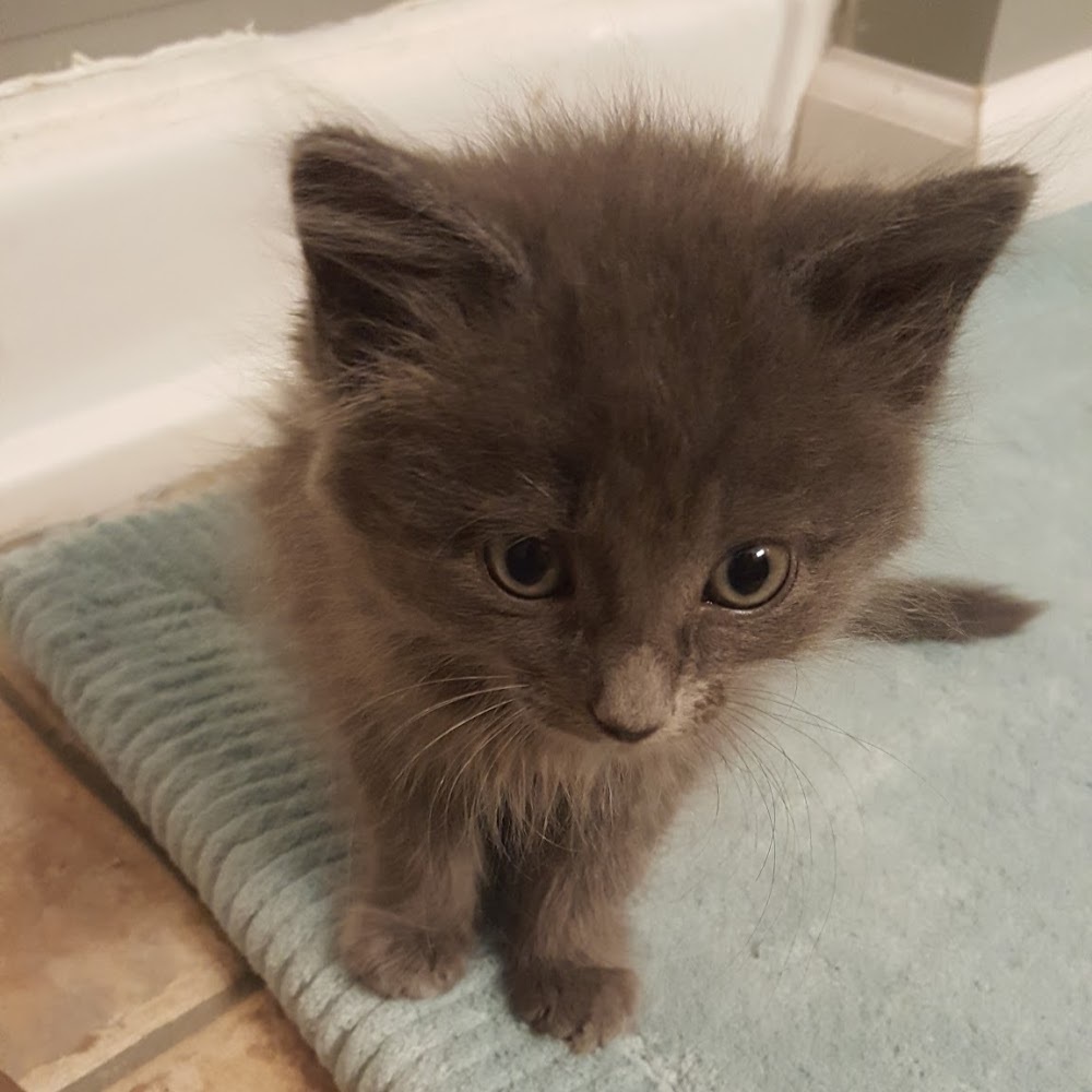 Meet your Posher, Heritage